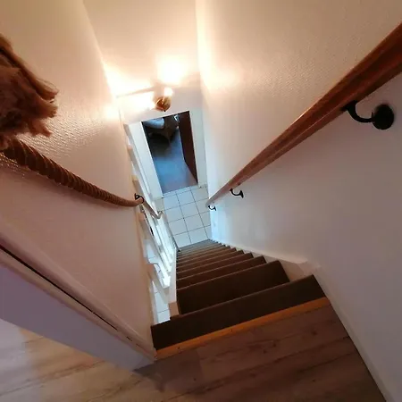 Sylter Finke * Wenningstedt-Braderup